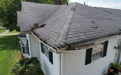 What Curling Shingles Usually Mean for Homeowners