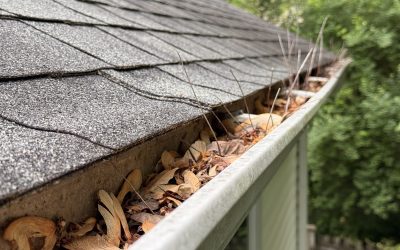 How Pollen Buildup Affects Roof Valleys and Gutters