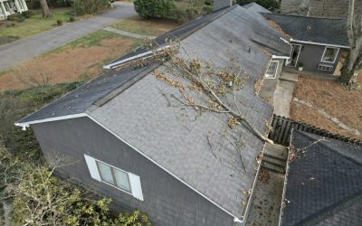 What to Do After a Branch Hits Your Roof