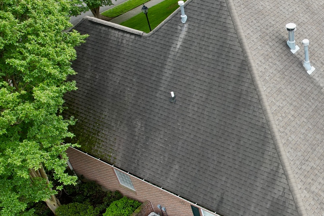 Spring gutter check in Knoxville showing a shingle roof beside trees where homeowners should inspect gutters after pollen season.