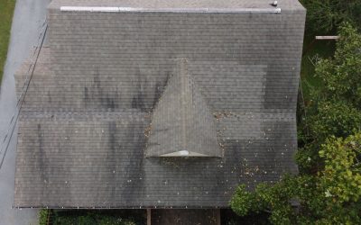 How Fall Leaves Can Lead to Roof and Gutter Damage