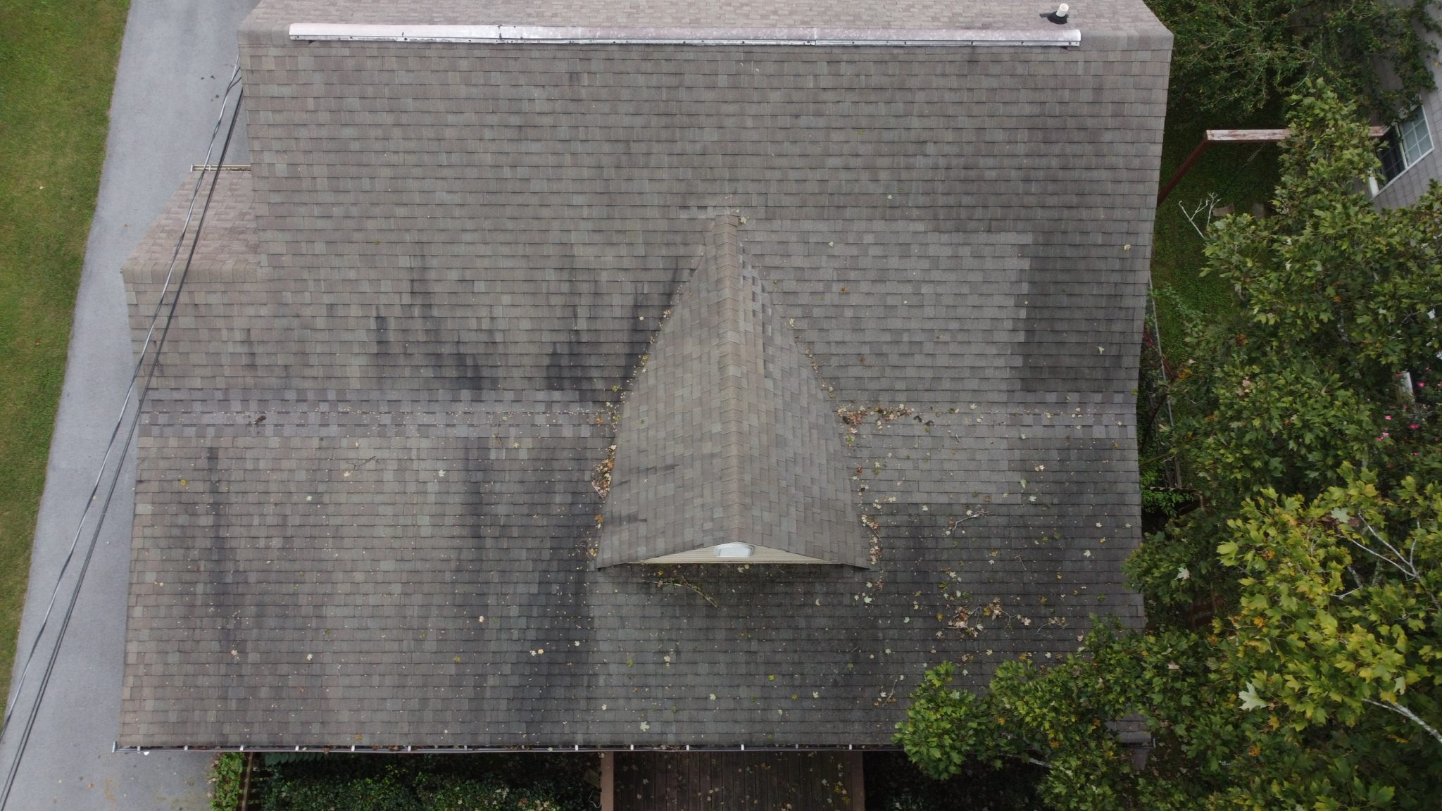 How Fall Leaves Can Lead to Roof and Gutter Damage | Mountain View Exteriors How Fall Leaves Can Lead to Roof and Gutter Damage shown on an asphalt shingle roof with leaf buildup, dark streaks, and clogged valleys.