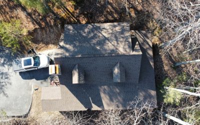 How Tree Shade Can Help and Hurt Your Roof