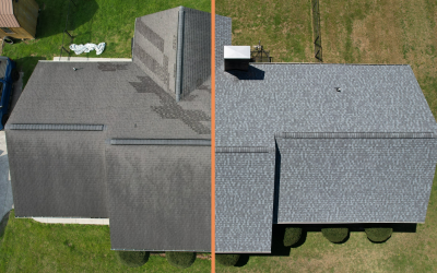 Common Asphalt Roof Leaks and Fixes After Fall Storms