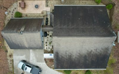Roof Moss Prevention in East Tennessee