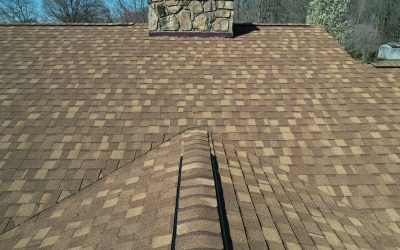 Why Asphalt Shingles Remain a Top Choice for Knoxville Homes