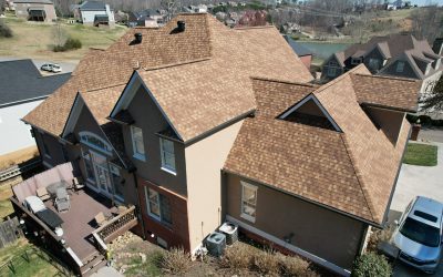 Comparing Architectural Shingles Vs. Three-Tab Roofing